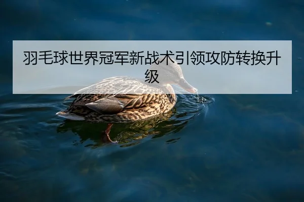 羽毛球世界冠军新战术引领攻防转换升级